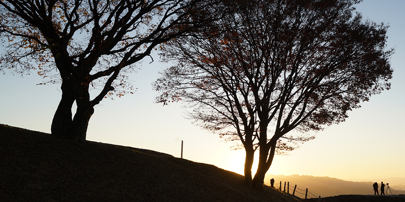 계족산의 가을풍경 이미지4