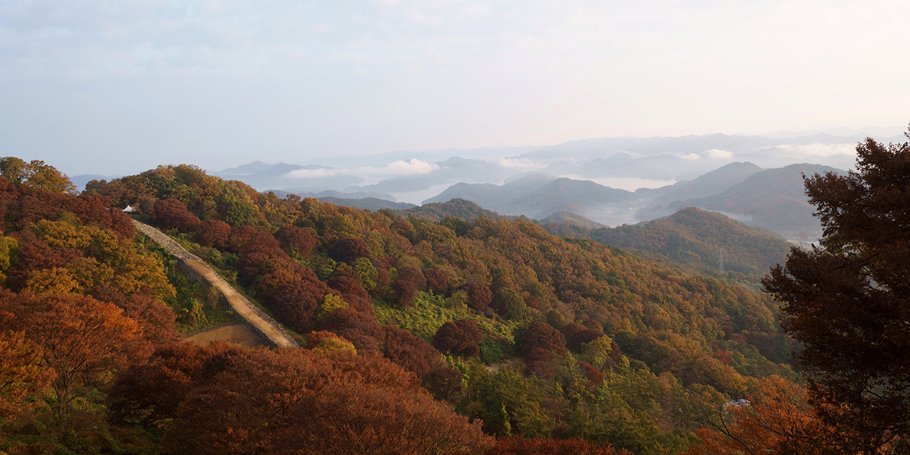계족산의 가을풍경 이미지8