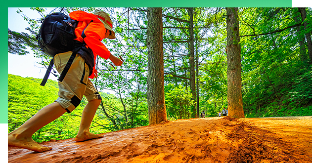 계족산 황톳길 이미지1